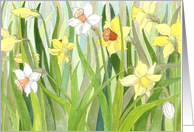 Easter Religious Daffodil Fields card