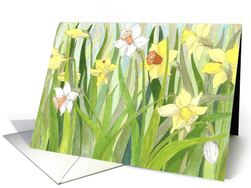 Easter Daffodil Fields card (152411)