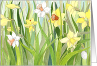 Thank You Daffodil...