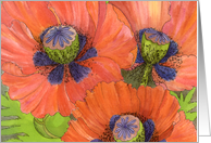 Red Poppies - blank note card