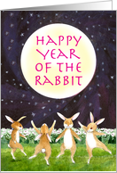 Year of the Rabbit...