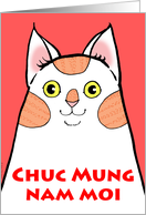 Chuc Mung Nam Moi Cat with Orange Patches Vietnamnese card