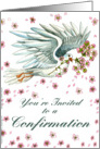 Dove Invite - Confirmation card