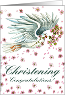 Dove Christening Congratulations card