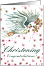 Dove Christening Congratulations card