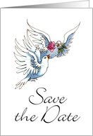 Doves Save the Date card