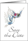 Doves Save the Date card