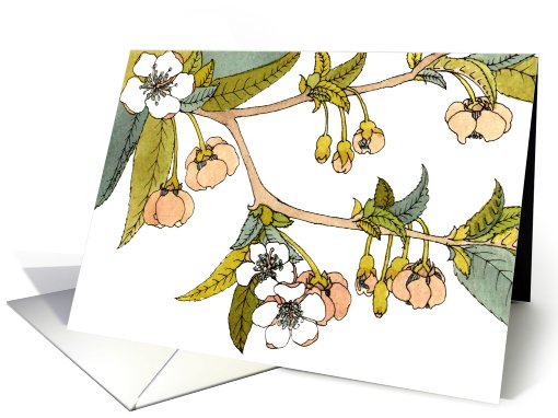 Cherry Blossom Blank Note card (426823)