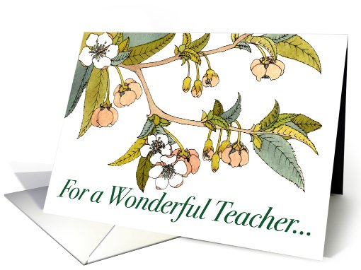 Teacher Birthday Cherry Blossoms card (433711)