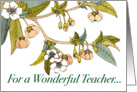 Teacher Birthday Cherry Blossoms card
