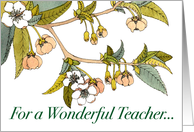 Teacher Appreciation Day Cherry Blossoms card