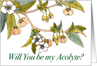 Will You Be My Acolyte with Cherry Blossom Branch card