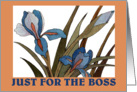 Bold Iris - Boss Birthday card