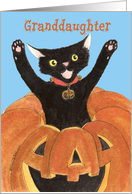 Granddaughter Halloween Jack O’Lantern Cat card