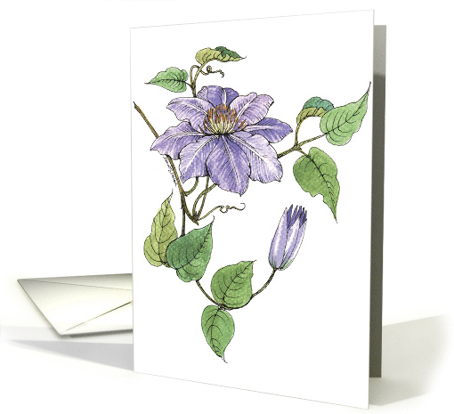Thank You Clematis card (80660)