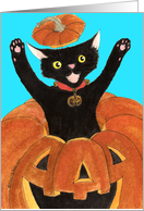 Invitation - Halloween Jack O’ Lantern Cat card