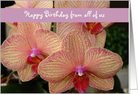 Happy Birthday from all of us - orchid card