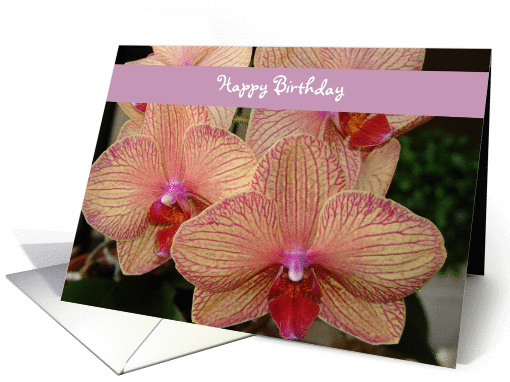 Happy Birthday - orchid card (208896)