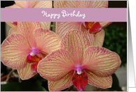 Happy Birthday - orchid card