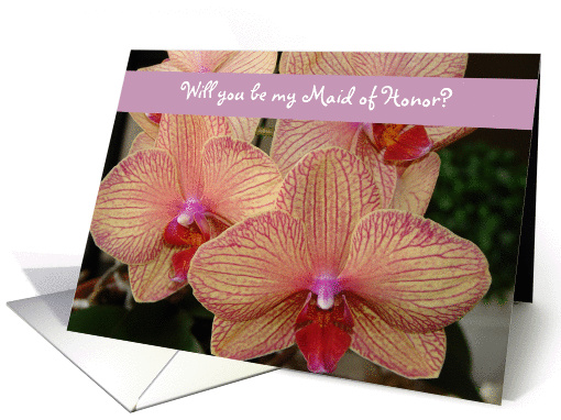 Will you be my Maid of Honor? card (212448)