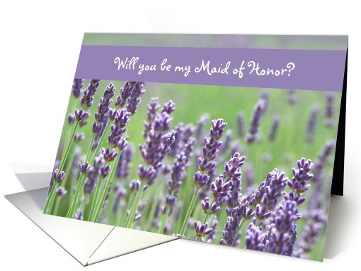 Will you be my Maid of Honor? card (359846)