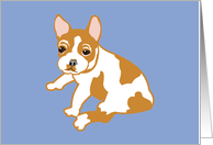 French Bulldog Puppy