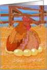 Chicken and Eggs card