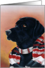 Black Labrador Retriever card