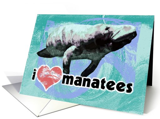 I Love Manatees card (665633)