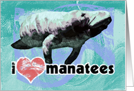 I Love Manatees card