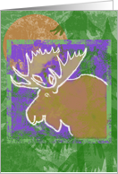 Moose card