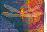 Birthday Dragonfly card