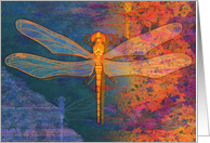 Birthday Dragonfly