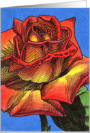 Sunset Rose card