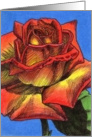 Sunset Rose card