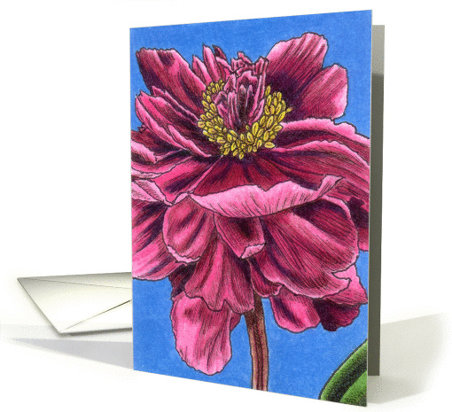 Prince Charming Peony card (82300)
