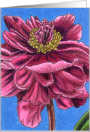 Prince Charming Peony card
