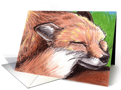 Content Red Fox card (82306)