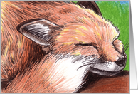 Content Red Fox card