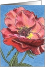 Romantic Rose (1) card