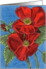 Romantic Rose (2) card