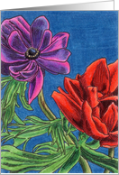 Anemone card