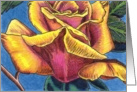 Beautiful Rose 1 card