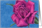 Beautiful Rose 2 card