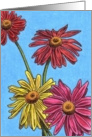 Bold Painted Daisies card