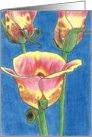 Butterfly Tulips card