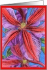 Clematis ’Mrs. N. Thompson’ card