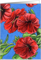 Dark Red Calibrachoa card