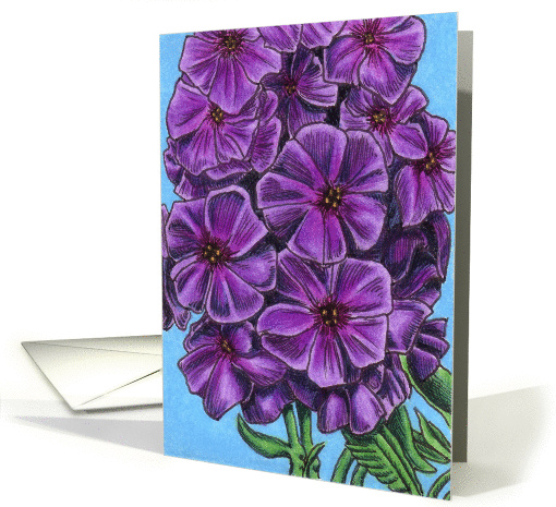 Deep Purple Tall Phlox card (83330)