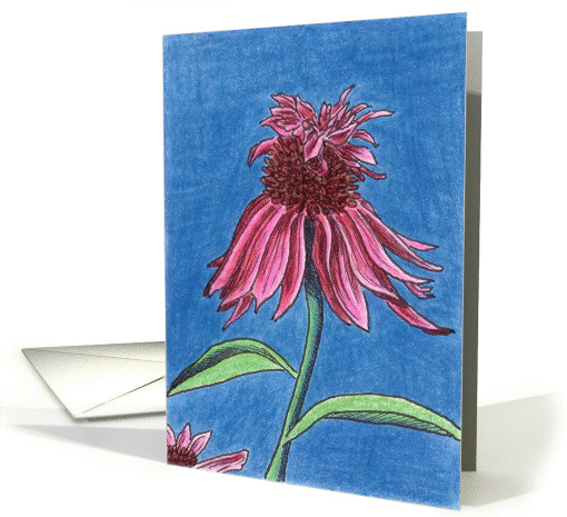 Double Decker Coneflower card (83336)